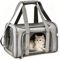 Breathable Mesh Pet Carrier Bag