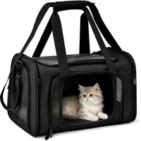 Breathable Mesh Pet Carrier Bag