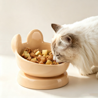 Cute Bear & Rabbit Ear Ceramic Cat Bowl