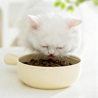 Cute Capybara Printed Ceramic Cat Bowl