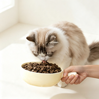 Cute Capybara Printed Ceramic Cat Bowl