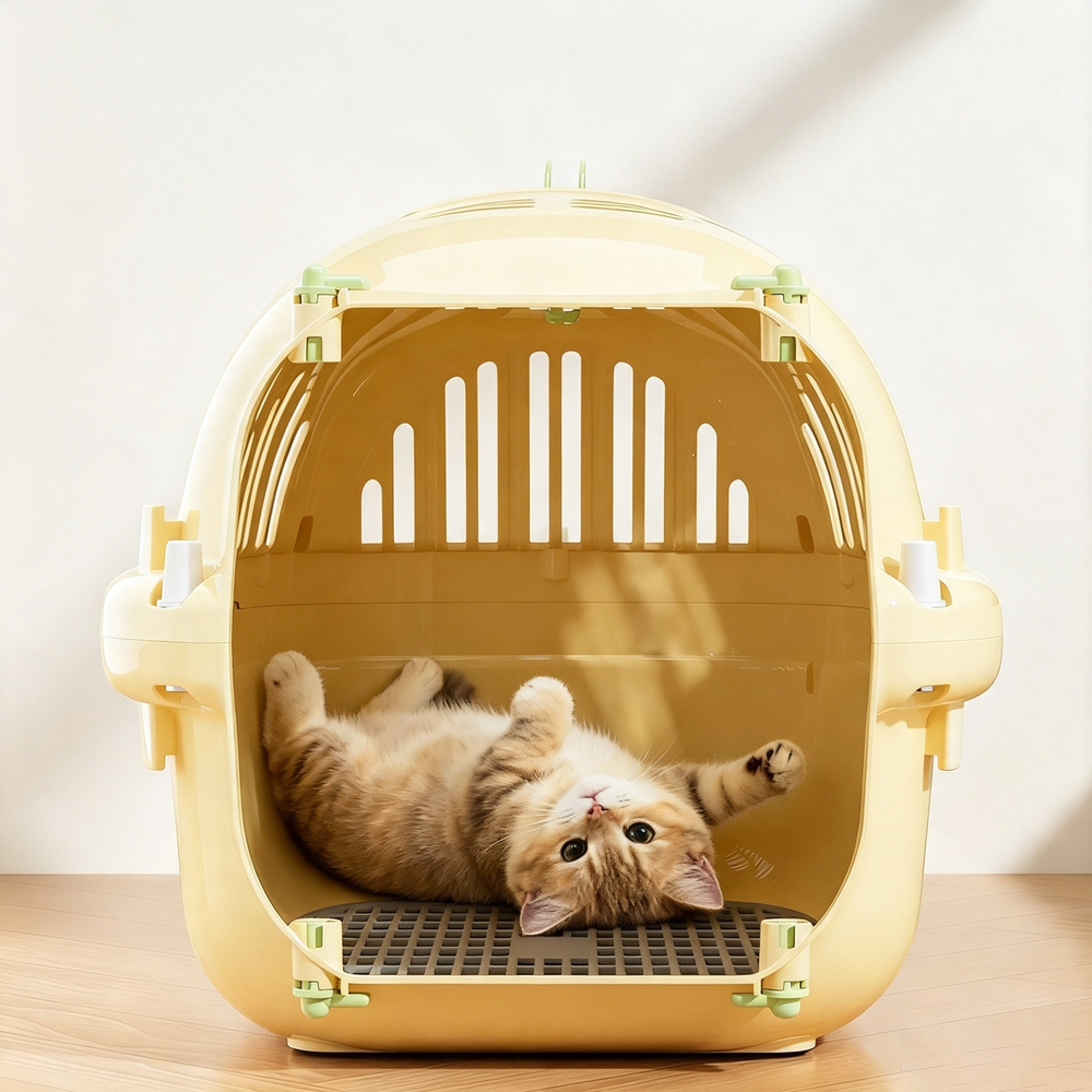 Plastic Pet Travel Carrier